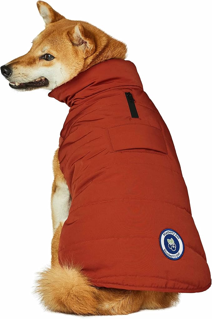 Blueberry Pet Rusty Orange Dog Jacket, Cozy & Comfy Waterproof Coat for Medium Dogs, Quilted Winter Wear, 15 3/4" Back Length, Coats for Small to Large Breeds, Award-Winning Design