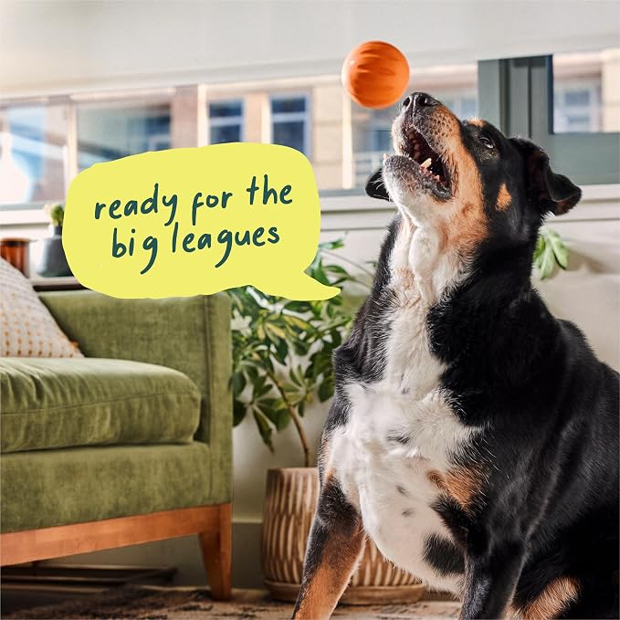 WOOF Flyball Fetch Ball & Dog Treat Dispenser Toy, 3-Pack | 2-in-1 fetch ball, fits standard ball launchers, treat dispenser, durable rubber, dishwasher safe, puzzle enrichment
