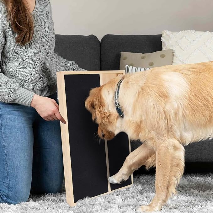 Dog Nail Scratch Board with Treat Box Nail File Toy Large Dogs