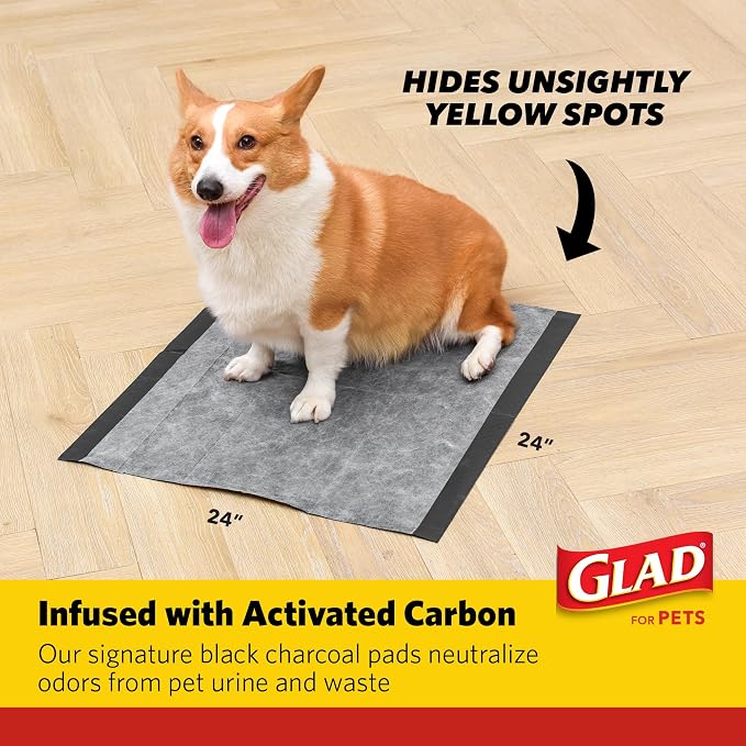 Glad for Pets XL Charcoal Training Pads, Heavy Duty, 24x24 in, 100 Count | Quick-dry quilted top and leak-resistant layers for indoor potty use and crate liners, 24 x 24 in