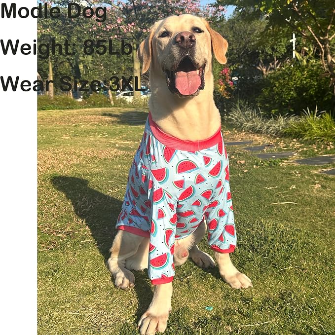 Dog Blue T Shirts Watermelon Pattern Printed Pet Shirt Softable Pajamas for Small Dogs (2XL,Watermelon)