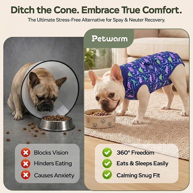 PetWarm Surgery Recovery Suit Spay, Onesies for Dogs, Dog Cone Alternative After Surgery Substitute E-Collar and Cone Prevent Dog Onesies Pet Recovery Suit, Dinosaur Pattern, Blue Purple, XS
