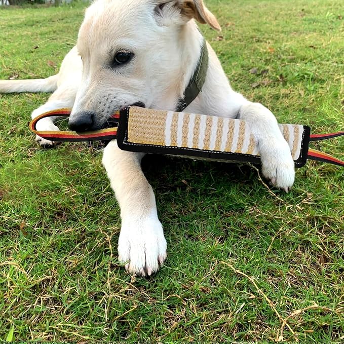 ASOCEA Dog Tug Toy,Bite Jute Pillow Pull Toy Squeaky Dog Toys with Handles