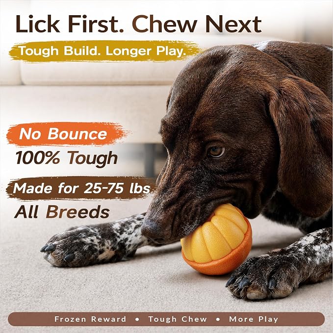 KADTC L, 3-in-1, Frozen Treat Dog Toy & Kibble Dispenser & Chew & Lick Toy