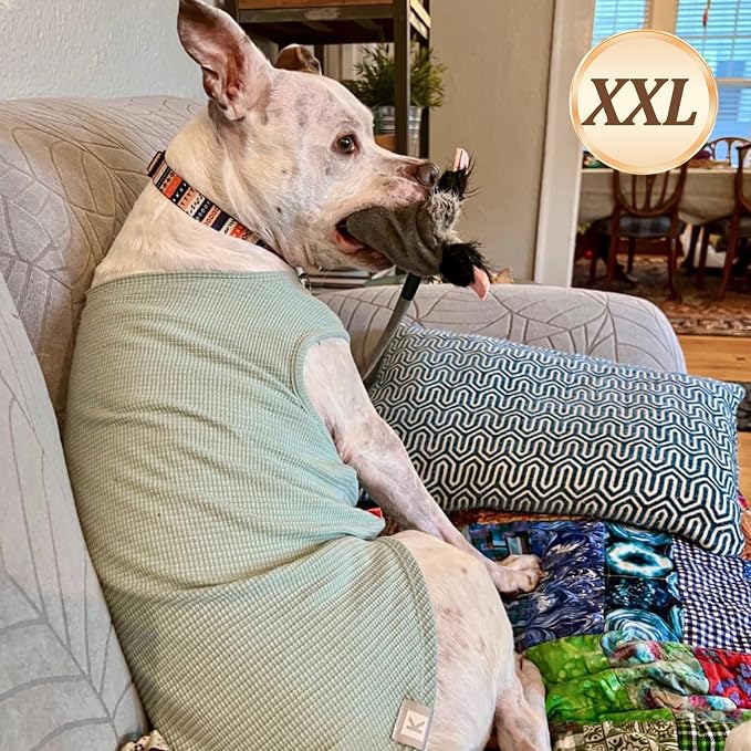 KYEESE 2Pack Dog Shirts Waffle Stretchy T-Shirts Lightweight Tank Top Sleeveless Vest Breathable Pet Apparel, XX-Large, Green+Grey | Cozy Warmth, Lightweight & Breathable, Gentle on Sensitive Skin, Stretchy & Free to Move, Comfortable Daily Wear