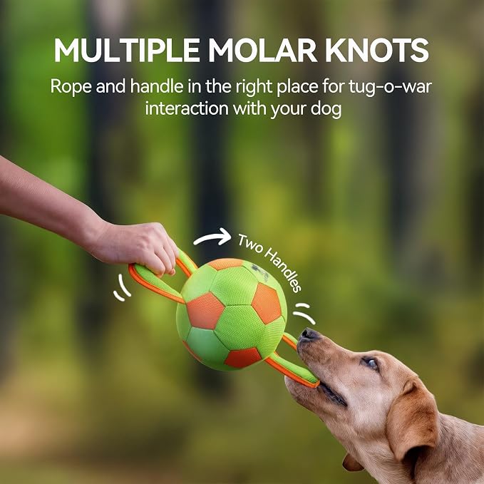 ALL FOR PAWS Dog Ball with Handles, Durable Dog Toy with Squeaker, Interactive Tug of War Ball Toy for Small and Medium Dogs, 12.6 x 5.9 x 5.9 Inch