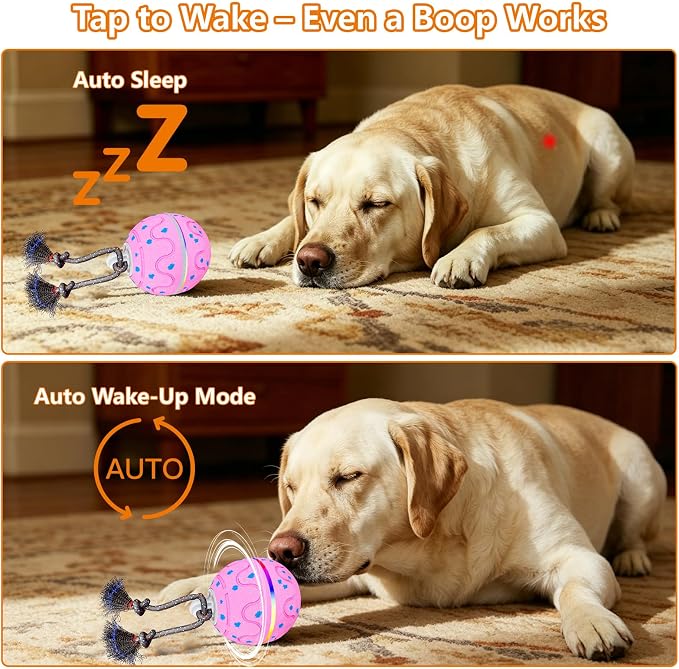 Interactive Dog Ball Toy with 2 Rope, Automatic Rolling & Bouncing Smart Dog Toy with Bird Chirping Sound and LED Light, Soft ETPU Chew-Safe Material, USB Rechargeable, for Medium & Large Dogs