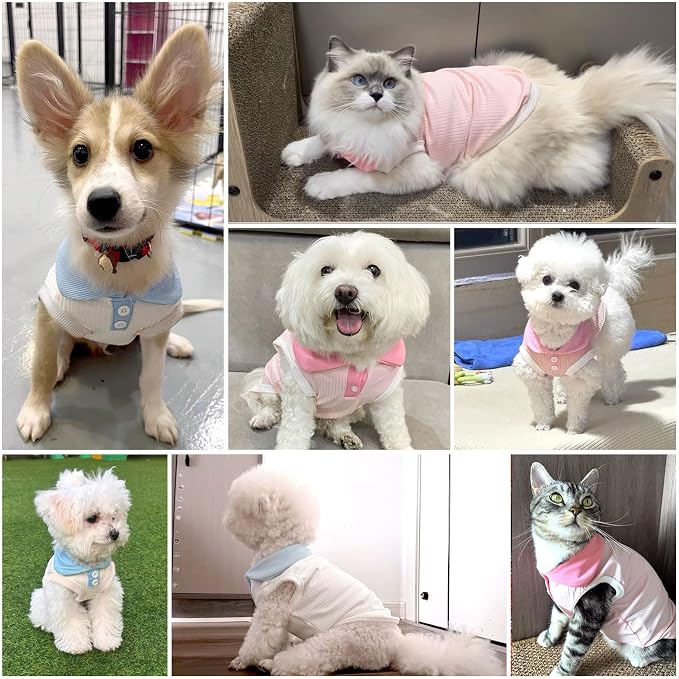 2 Pack Dog Tshirts for Small Dogs Polo Shirt Stretchy Dog T Shirt Breathable Dogs Cooling Vest Girl Boy Puppy Dachshund French Bulldog Frenchie Chihuahua Clothes (Pink & White)