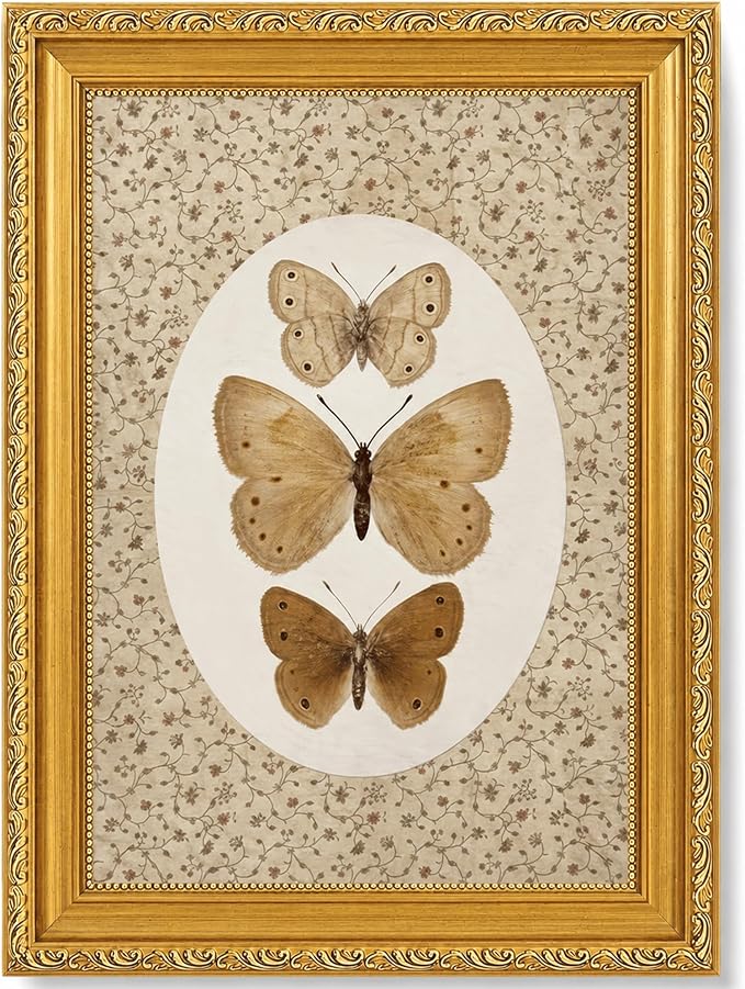 Vintage Butterfly Specimen Wall Art, Gold Framed Canvas Print | Vintage butterfly specimen wall art with gold frame, suitable for study room, office, and gallery wall decoration.