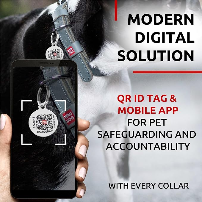 WAUDOG Genuine Leather Dog Collar Adjustable Large Medium Small QR Code Tag