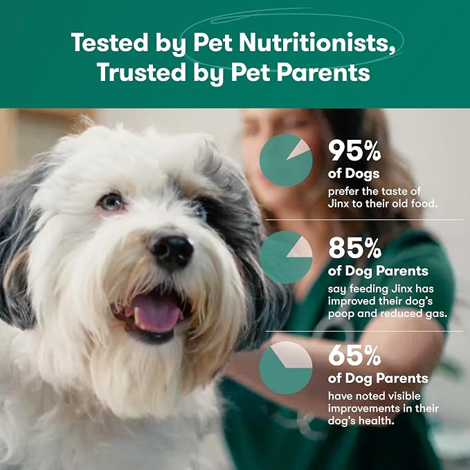 Jinx Grain Free Dry Dog Food - Real Salmon, Sweet Potato & Carrot, 4lb | Premium Kibble for Digestive Support & Healthy Immunity - No Fillers, All Lifestages (Puppy, Adult & Senior), Breeds & Sizes