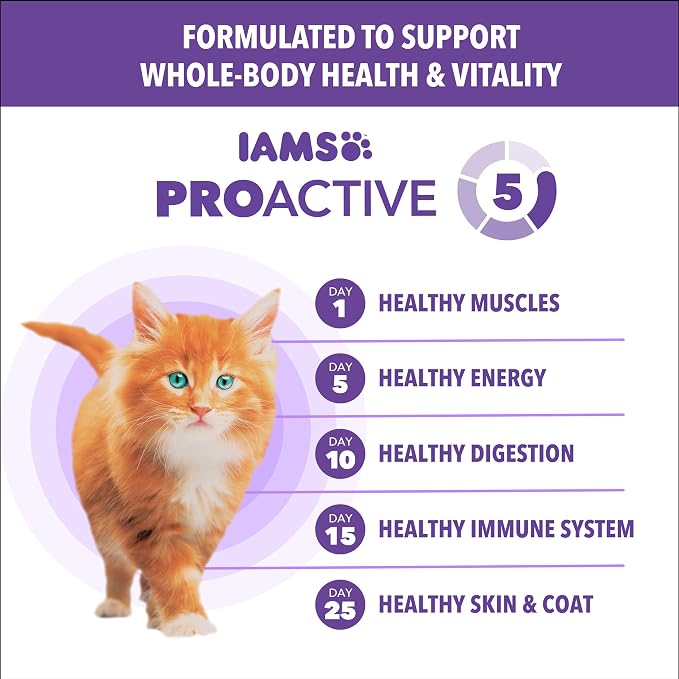 IAMS Proactive Health Healthy Kitten Dry Cat Food, Salmon, 16 lb | Salmon #1 ingredient, DHA omega-3 for brain development, prebiotics & beet pulp, Vitamin E immune support