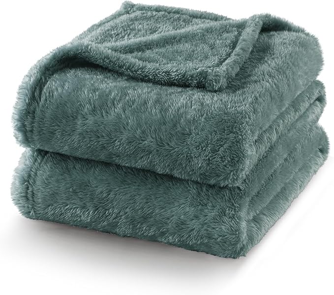 Exclusivo Mezcla Fuzzy Plush Fleece Bed Blanket Queen Size, Celadon | 90x90 Inches, Super Soft and Cozy Bed Blanket, Fluffy Decorative Bedding for Livingroom, Bedroom, All Season
