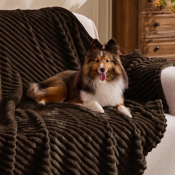 BEDELITE Ribbed Jacquard Dark Brown Fleece Twin Blanket for Bed, 60x80 Inch | Soft Warm Decorative Fluffy Blanket, Cozy Plush Lightweight Fuzzy Throw Blanket for Couch Sofa Room Decor, Gift for Women
