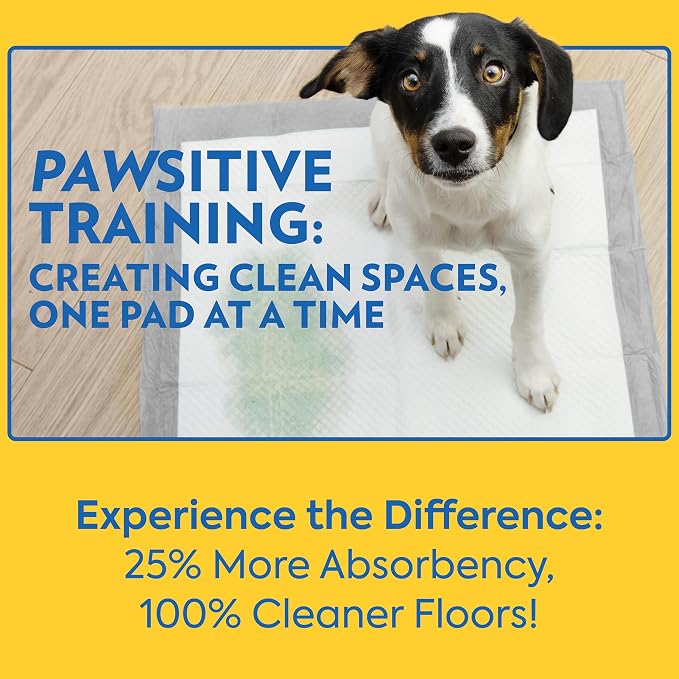 OUT! PetCare XXL Puppy Pads, Heavy Duty Pee Pads for Dogs, 26x30, 30 Count | Dog Pee Pads, Leak Proof, Potty Training, Housebreaking, Heavy Duty, Dog Training Pads, Extra Large, Puppy Essentials