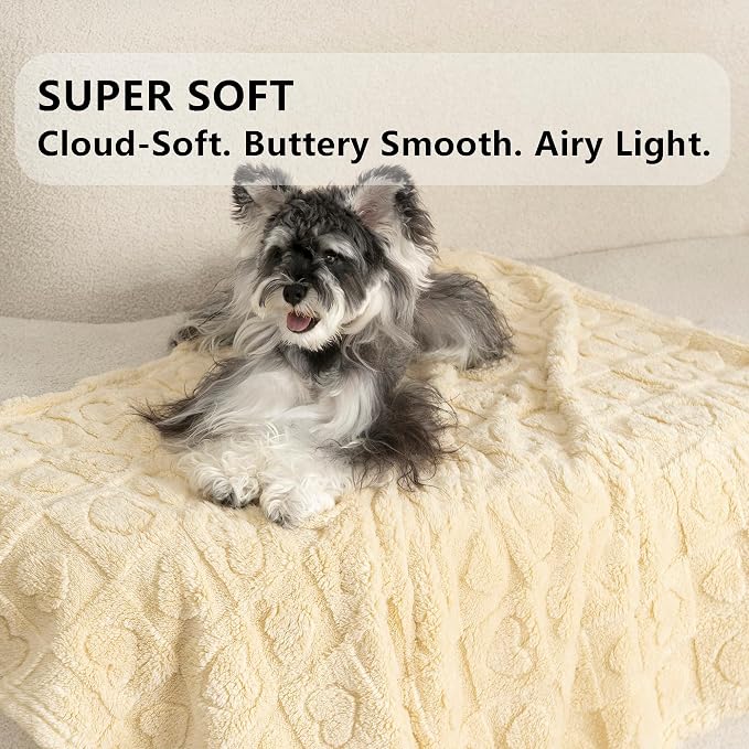 gogobunny Pet Blanket for Dogs Cats, 300GSM Ultra Soft Coral Fleece Blanket, Washable Small Dog Cat Blanket, Calming Crate Mat, Furniture Protector for Couch Bed Car Seat, Beige, 25x35IN
