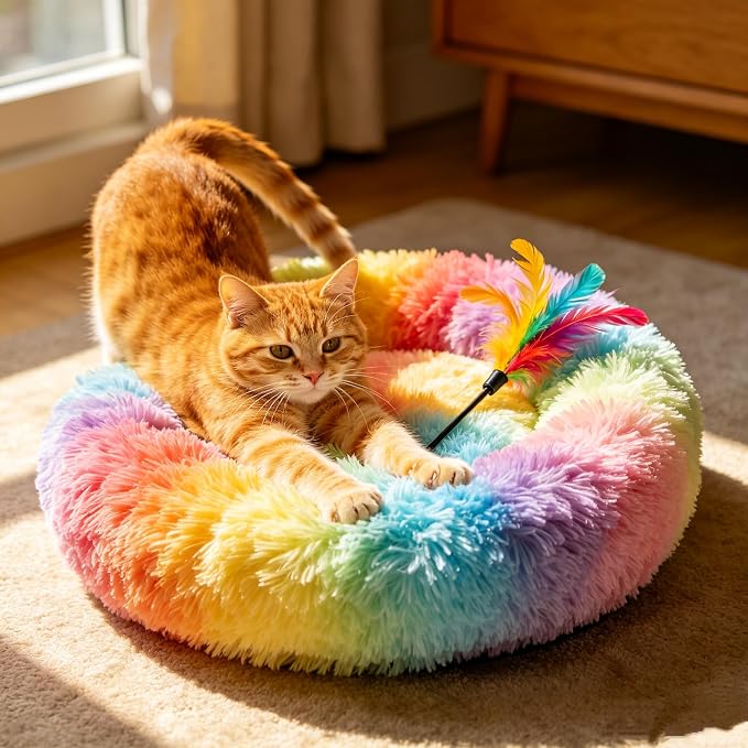 Cat Beds for Indoor Cats - Anti Anxiety Round Dog Beds for Small Medium Dogs, Fluffy Plush Faux Fur Pet Bed (Rainbow, Large 24" L x 24" W)