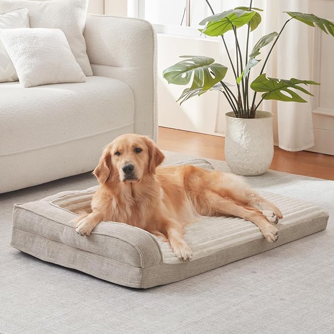 WINDRACING Orthopedic Dog Beds for Medium Dogs, Waterproof Egg Foam Dog Sofa Bed with L Bolster Sides, Washable Medium Pet Bed with Removable Cover & Non-Slip Bottom, 36 x 23 inch, Beige