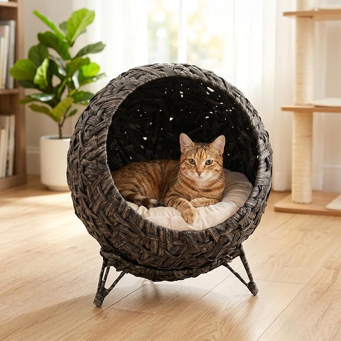 PawHut Rattan Cat Bed Elevated Handwoven Cat Basket Bed for Kittens Gray | Soft Cushion, Metal Base, Indoor Kitty Furniture, Breathable