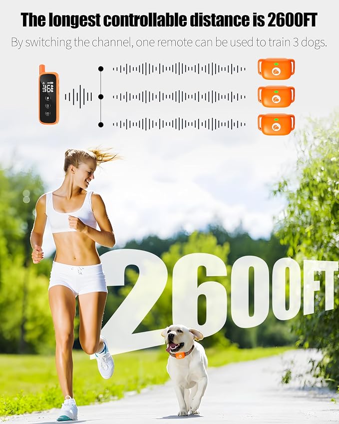 Dog Shock Collar with Remote,Dog Training Collar for 10-120lbs Dogs