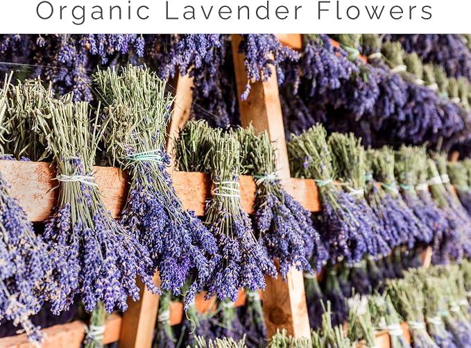 Lavender Hydrosol Floral Water - Distilled on Our Lavender Farm, Facial Toner, Aromatherapy, Linen & Room Mist (32 oz (1/4 Gallon))