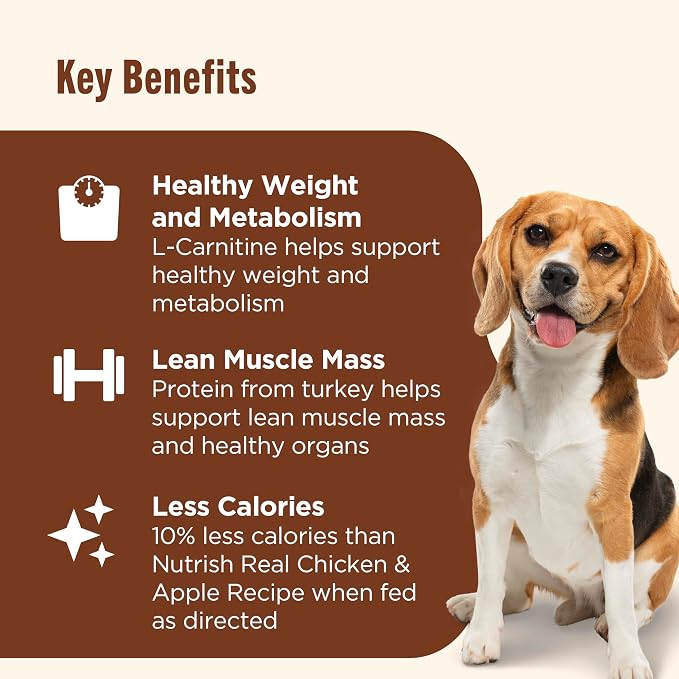 Nutrish Healthy Weight Wet Dog Food Paté,13 oz. Can, 12 Pack (Rachael Ray)