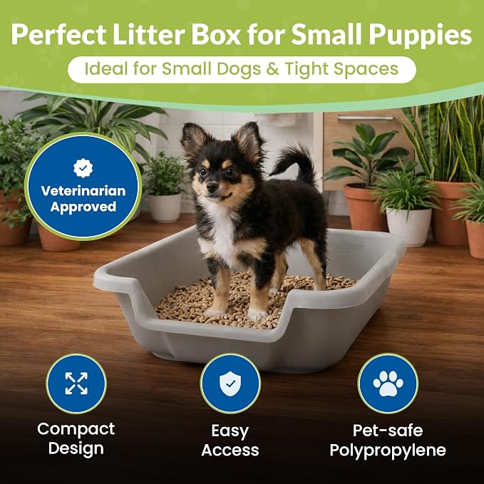 Small Gray Litter Box, Durable & Pet Safe, Open Top Entry, Comfortable for Dogs up to 6 lbs