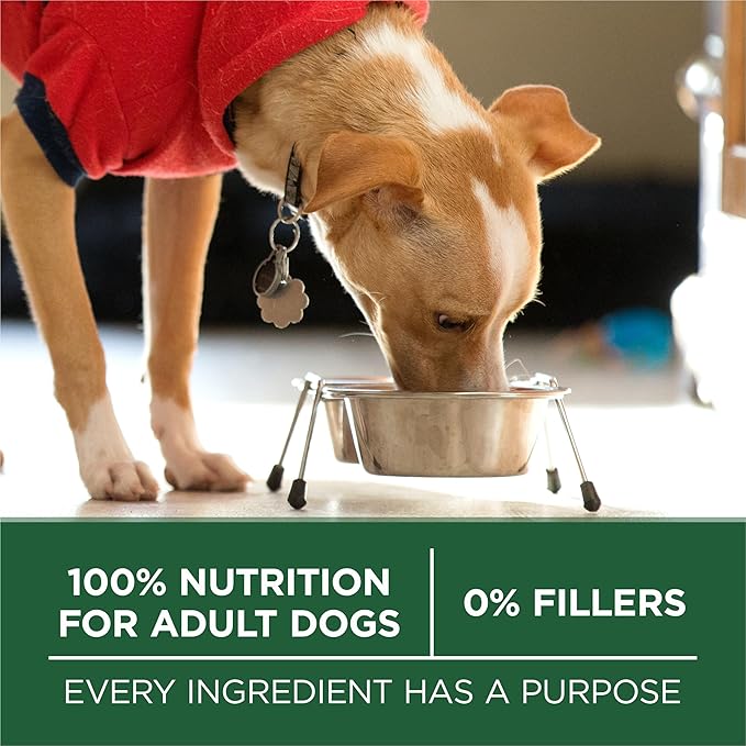 Purina ONE Plus Small Breed High Protein Dry Dog Food, Lamb, 15 lb Bag | Lamb & Rice Formula, natural kibble with a Smartblend of ingredients to support small dog health and energy