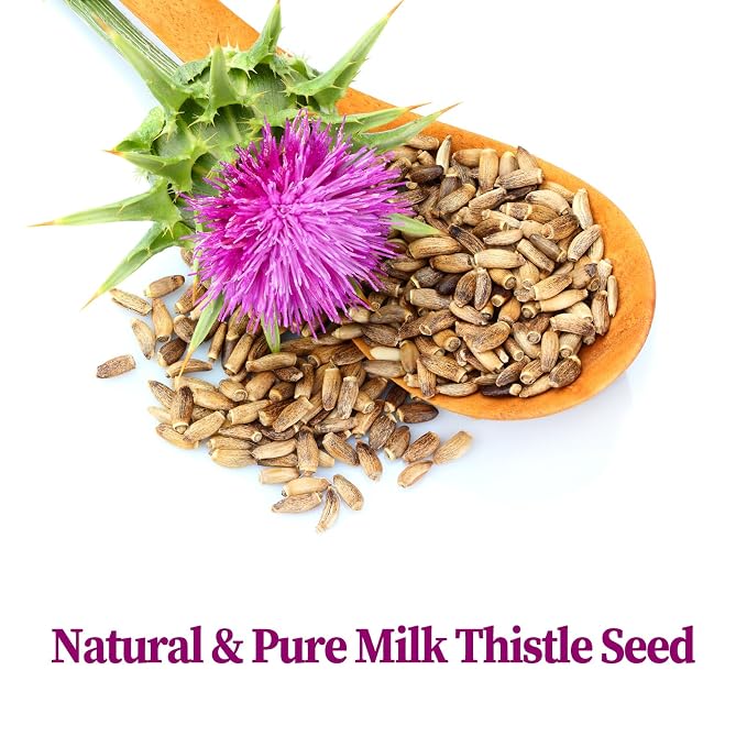 FullChea - Milk Thistle Tea Bags, 40 Teabags, 3g/Bag - Natural Milk Thistle Seed (Pack of 2)