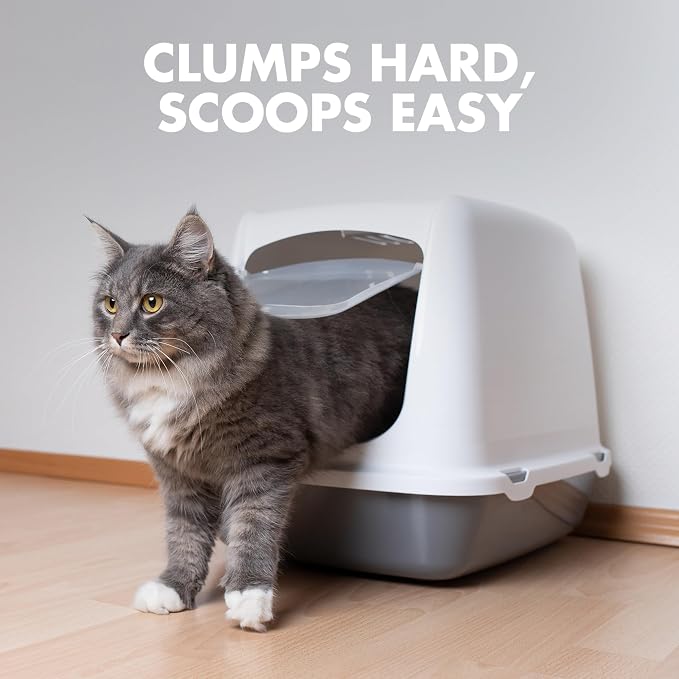 ARM & HAMMER Naturals Clumping Cat Litter, Multi Cat, 18 lbs | Plant-Based, Easy Scoop Clumps, Outstanding Odor Control, 2X Liquid Absorption, Low Dust, Lightweight Formula