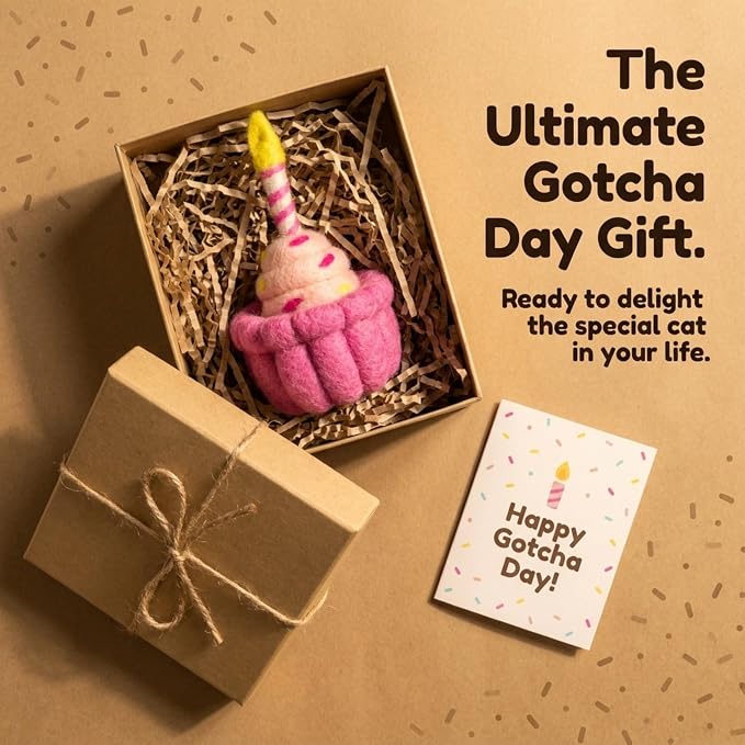 Glaciart One Wool Cat Birthday Cake Toy – Handmade Plush Catnip Design, Interactive Play for Indoor Cats, for Kittens & Cat Lovers