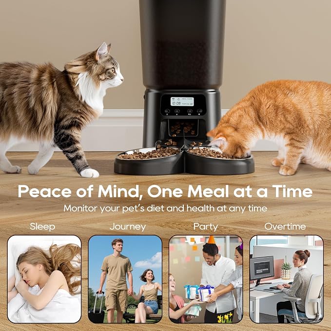 Petrice Automatic Cat Feeder for 2 Cats, 6L/25 Cups Cat Food Dispenser Programmable 30 Portions 6 Meals per Day, Timed Pet Feeder for Kitty Small Dogs with 10S Voice Record, Easy Setup, Black