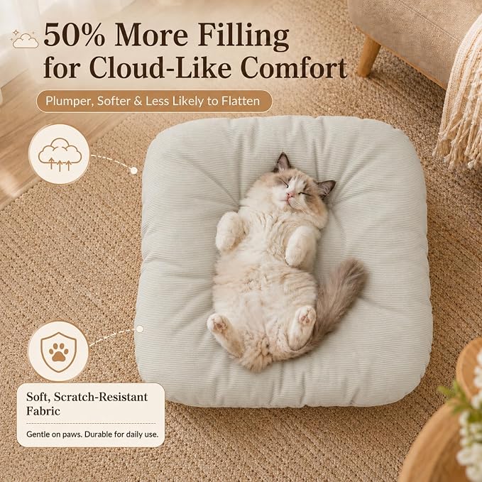 Elevated Cat Bed, Wooden Pet Sofa with Washable Cushion (Square / Beige) | Soft Beds with Extra Filling prevent flattening, Stable Wooden Frame Couch supports 50 lbs for Indoor Cats, Kitty & Puppy.