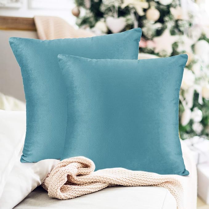 Throw Pillow Inserts Pack of 2 with Velvet Soft Solid Decorative Square Throw Pillow Covers Set for Sofa Couch Car Bedroom, 20X20 Throw Pillows Inserts with 18x18 Washable Cushion Covers, Beach Blue