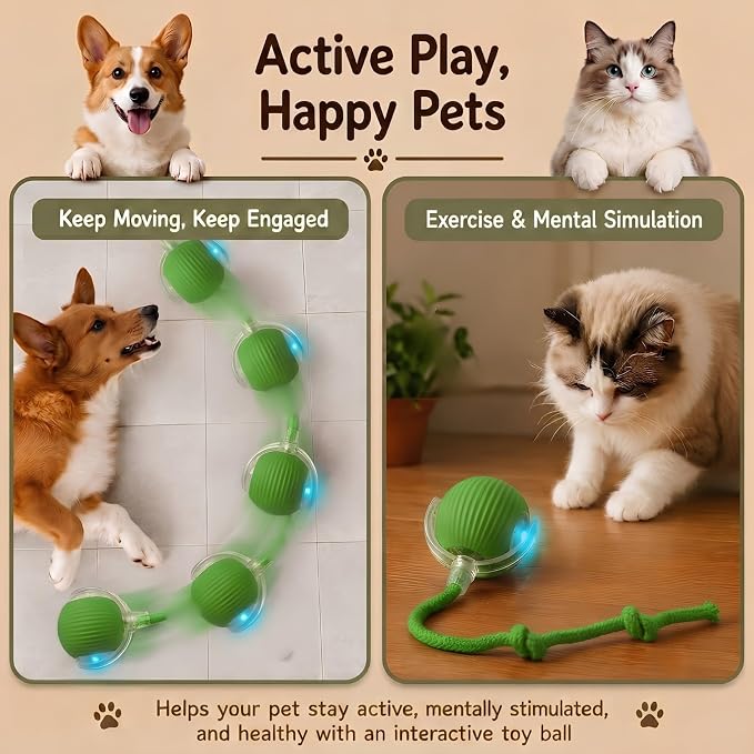 Interactive Cat Toy Automatic Moving Ball, Indoor Cats, Rechargeable, Green