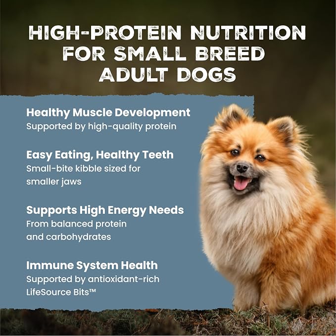 Blue Buffalo Wilderness Chicken Small Breed Adult Dry Dog Food, 4.5 lb | 41g Protein, Real Chicken #1 Ingredient, High Protein Plus Wholesome Grains, Supports Higher Energy Needs