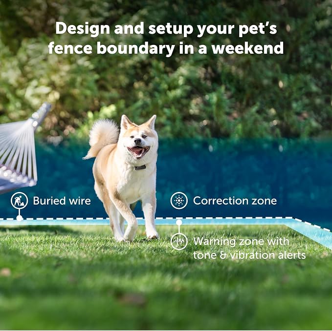 PetSafe Stubborn Dog In-Ground Fence Collar | Collar Only, Replacement, Extra, Add-A-Dog, Tone, Vibration, & Static, Waterproof, Dogs 8 lb+ Neck 6-28 in