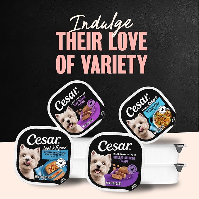 Cesar Wet Dog Food, Steak & Chicken Lovers Variety Pack, 3.5 oz, 36 Count | Real beef or chicken #1 ingredient, no fillers or artificial flavors, slow-cooked, easy to digest, easy-peel trays