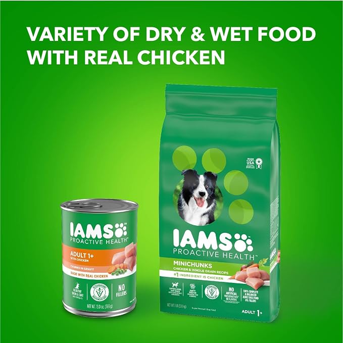 IAMS Proactive Health Chunks in Gravy Wet Dog Food, Chicken, 13 oz, 12 Pack | Real chicken, Omega 6 fatty acids,100% complete & balanced, no artificial flavors or soy, canned adult dog food