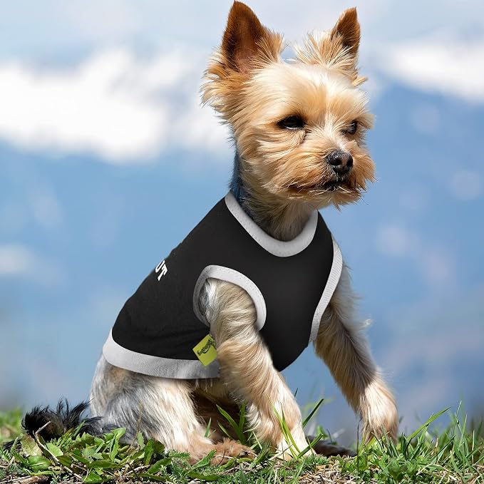 Reginary 8 Pcs Dog Clothes for Small Dogs Boy Summer Shirts Soft Breathable Chihuahua Yorkie Cute Pattern Sleeveless Puppy Cat Tank Vest Fit for Mini and Medium Dogs(Small)