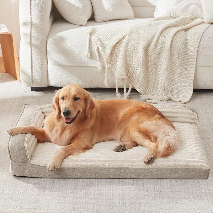 WINDRACING Orthopedic Dog Beds for Small Dogs, Waterproof Egg Foam Dog Sofa Bed with L Bolster Sides, Washable Small Pet Bed with Removable Cover & Non-Slip Bottom, 30 x 20 inch, Beige