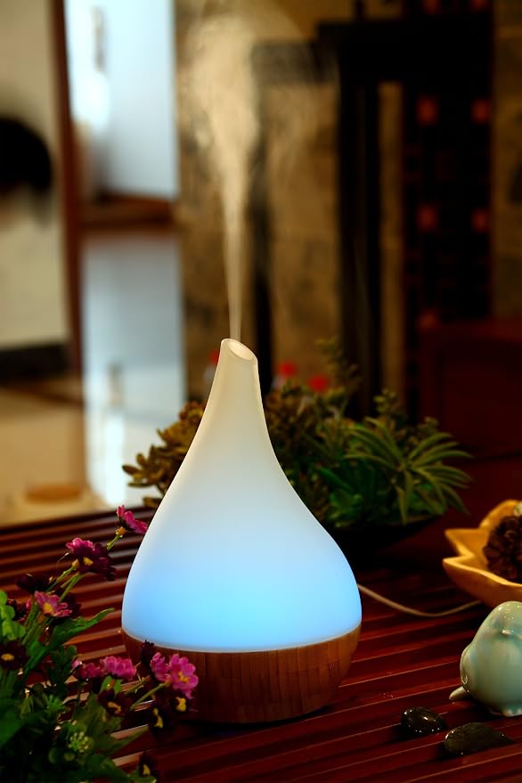 SPT SA-110 Aroma Diffuser/Humidifier