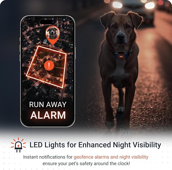 PAJ Dog GPS Tracker 3-Month Subscription Included, Real-time Pet Tracking