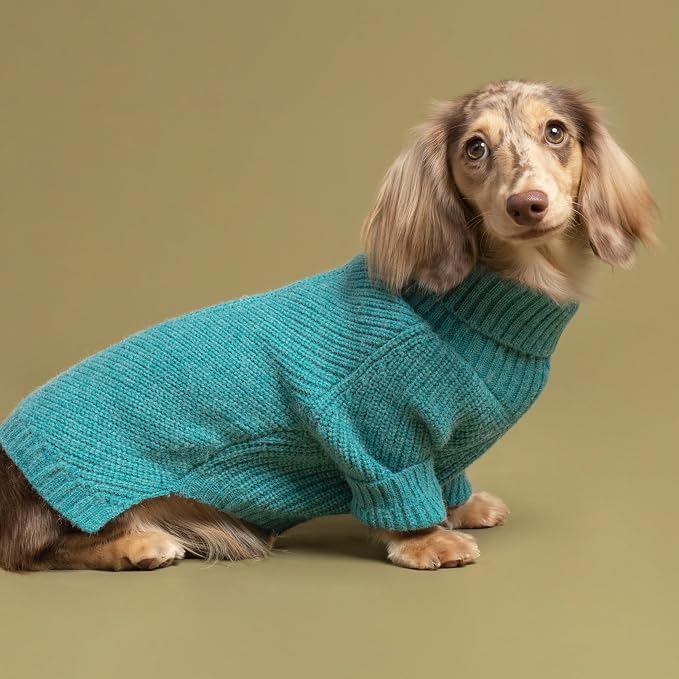 Fitwarm Turtleneck Dog Knitted Sweater, Thermal Winter Clothes for Small Dogs - Boy, Girl, Doggy Pullover Jumper, Pet Outfit, Teal Blue, XS