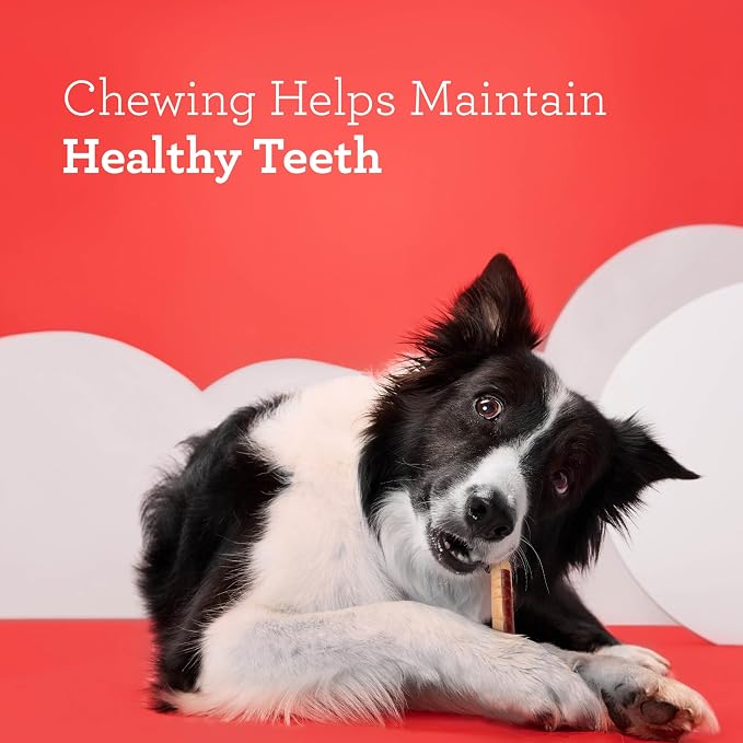 DreamBone DreamSticks, Rawhide Free Dog Chew Sticks Made with Real Chicken and Vegetables, 9 Sticks | Daily Chew, Digests Safely and Completely, Made With Real Chicken and Veggies, For Adult Dogs
