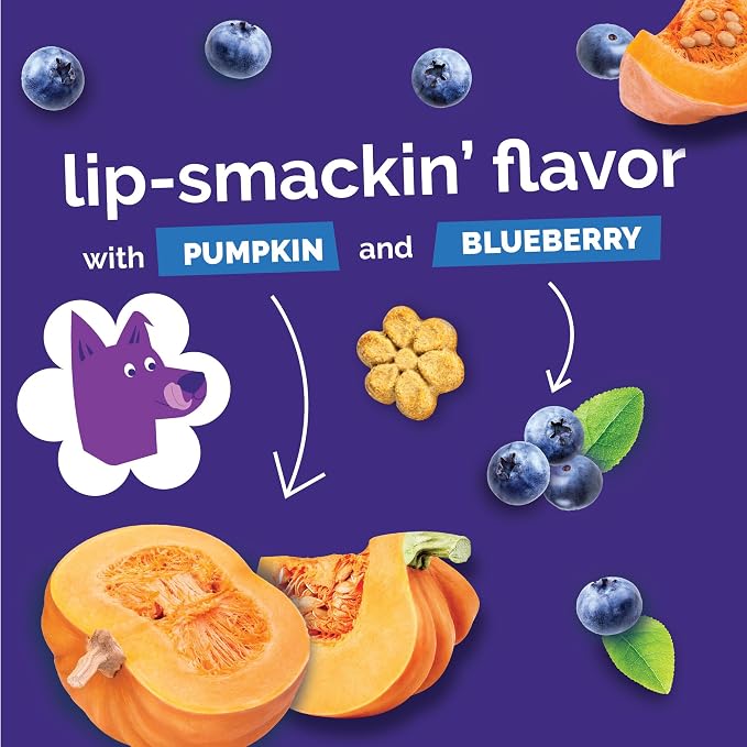 Fruitables Baked Dog Treats, Healthy Pumpkin Treat for Dogs, Low Calorie & Delicious, Made Without Wheat, Corn and Soy, Made in the USA, Allergy Friendly, Pumpkin and Blueberry Flavor, 32 oz