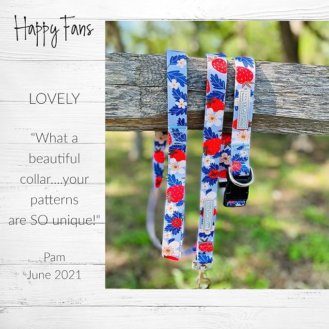 Lucky Love Dog Martingale Collar for Medium Dogs Cute – Sweet Berry, Medium