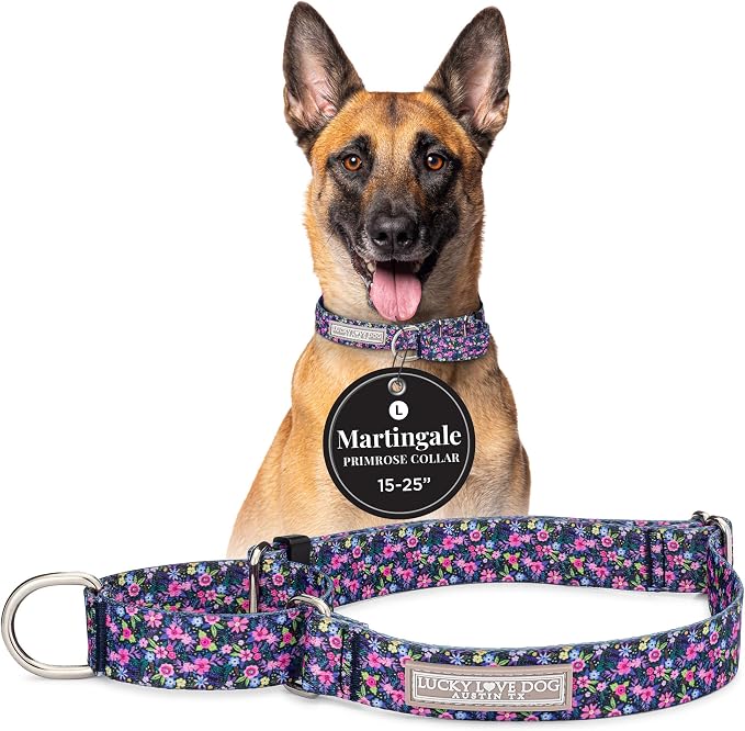 Lucky Love Dog Martingale Collar for Large Dogs No Slip – Primrose, Large