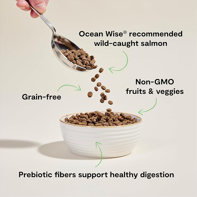 Open Farm Grain Free Dry Cat Food, Wild-Caught Salmon Kibble, 4lb Bag | All Life Stages, High Protein, Prebiotic Fibers, 100% Traceable Ingredients, Non-GMO Fruits & Veggies.