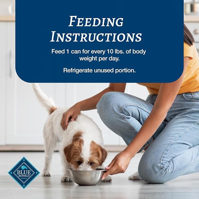 Blue Buffalo Family Favorites Beef Adult Wet Dog Food, 12.5 oz, 12 ct | Shepherd's Pie Recipe, Real Beef First, in Gravy, Feed as Treat, Topper, or Meal, No Corn, Wheat, or Soy